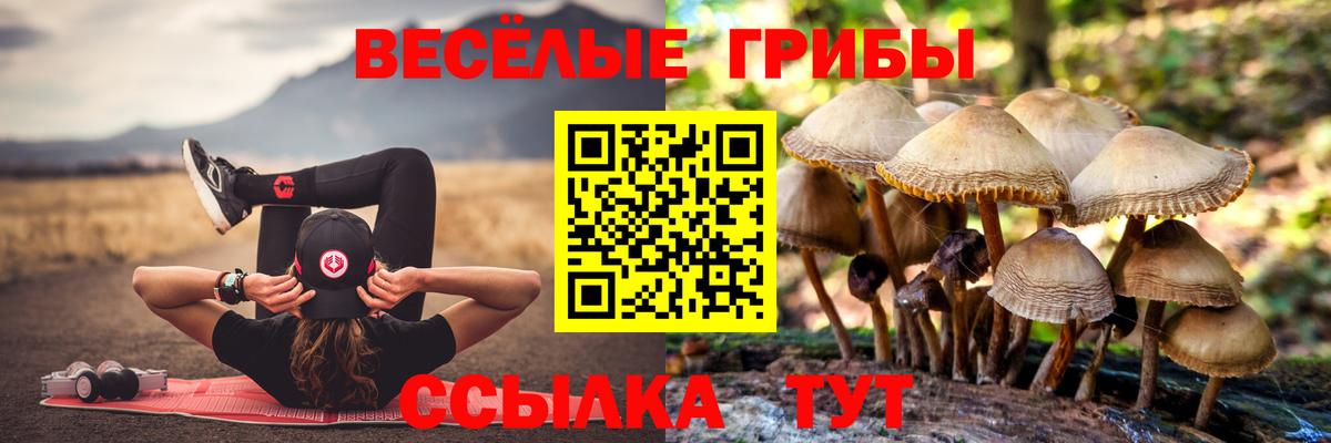 Галлюциногенные грибы Psilocybine cubensis  Галлюциногенные грибы Psilocybe  Вход с VPN  Корсаков 