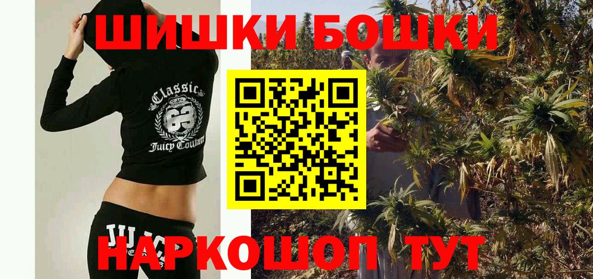 Конопля сатива Корсаков